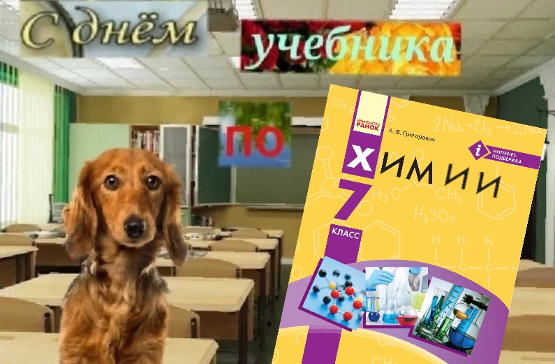 Учимся вместе